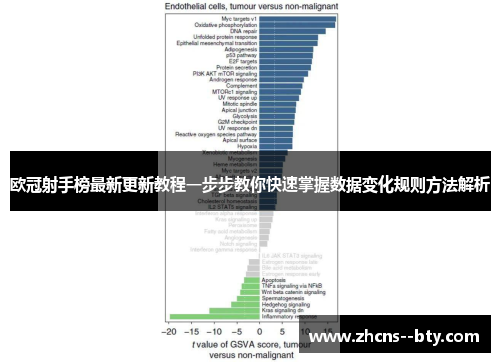 欧冠射手榜最新更新教程一步步教你快速掌握数据变化规则方法解析